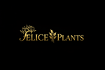 Felice Plants Origineel Logo Groot